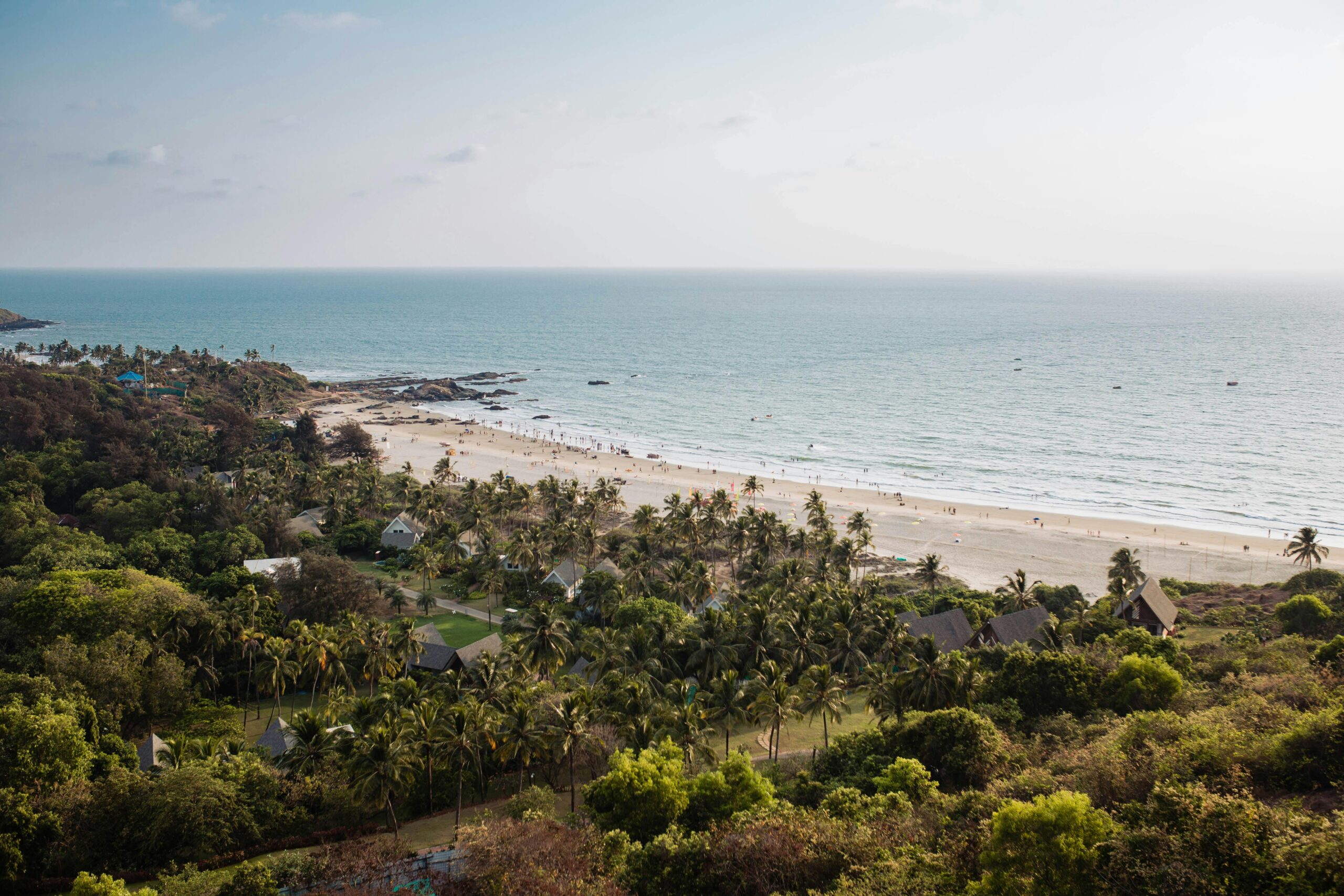 Breathtaking aerial view of Mandrem Beach in Goa, India, with palm trees and ocean.